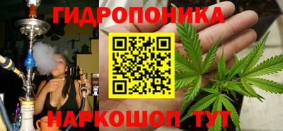 шишки Бузулук