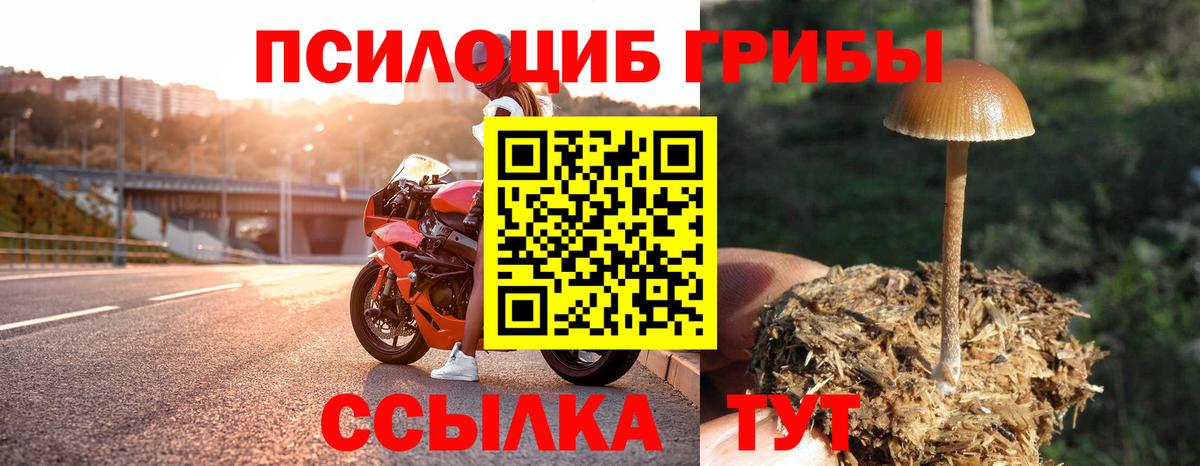 Псилоцибиновые грибы Magic Shrooms Новомосковск