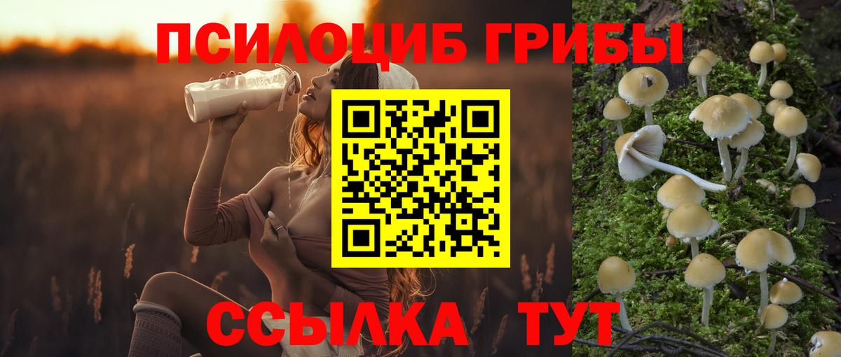 Псилоцибиновые грибы ЛСД  Галлюциногенные грибы мицелий  Новомосковск  Вход с VPN 